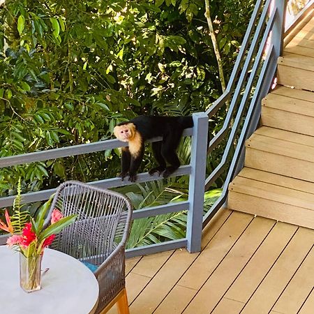 Villas En El Bosque Ojochal Ngoại thất bức ảnh