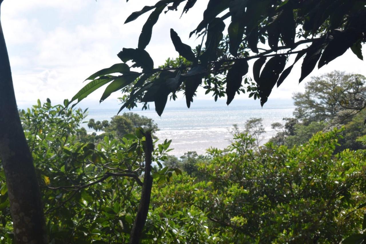Villas En El Bosque Ojochal Ngoại thất bức ảnh