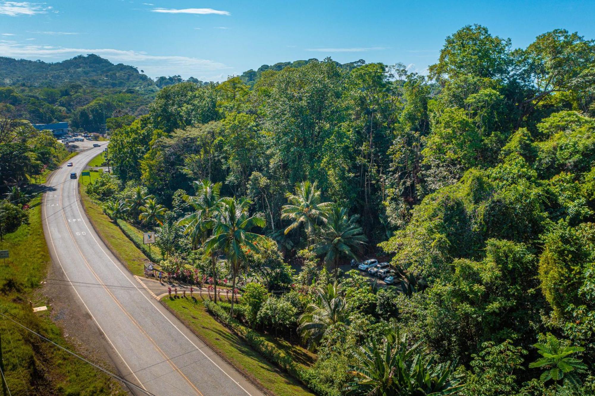 Villas En El Bosque Ojochal Ngoại thất bức ảnh