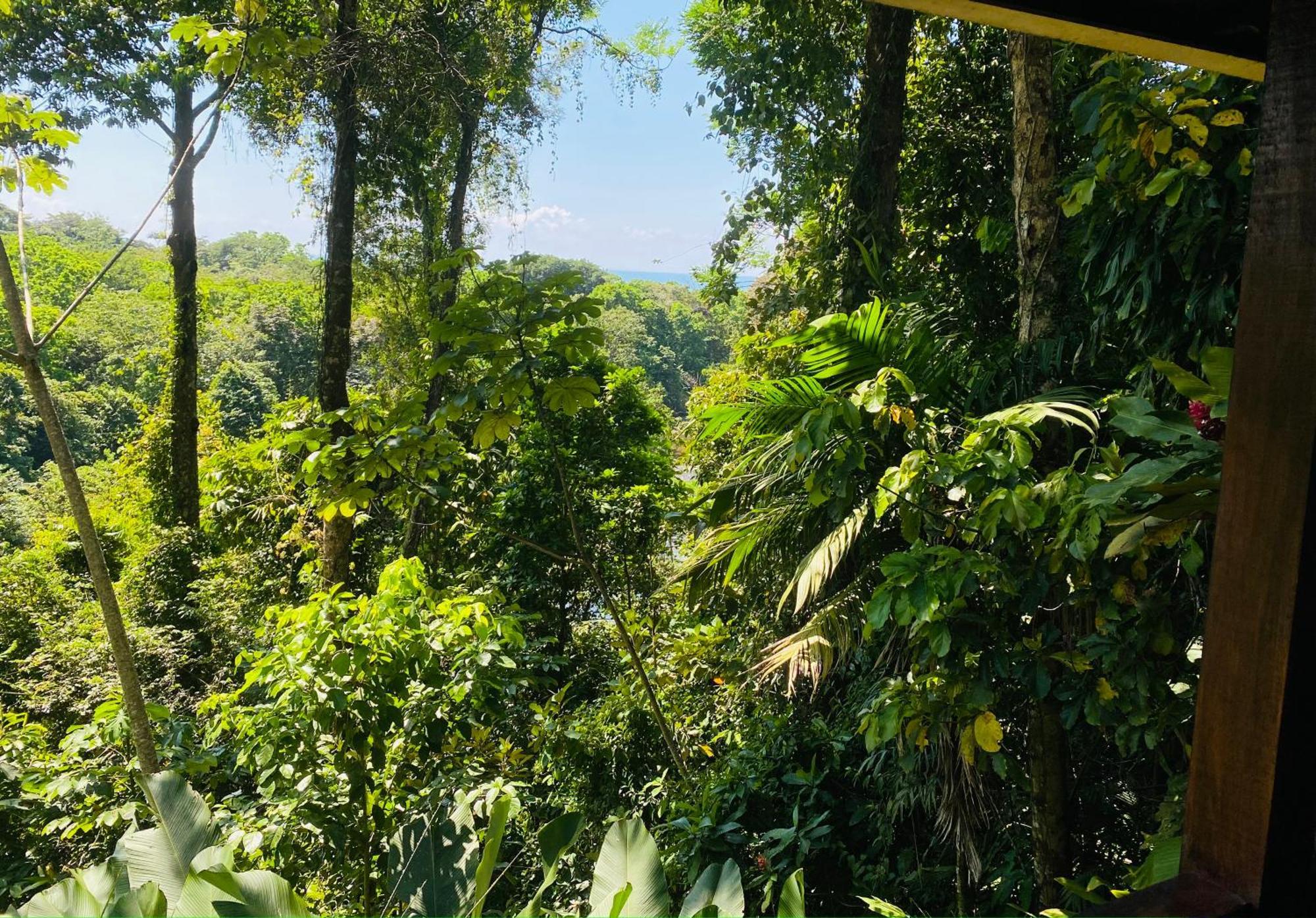 Villas En El Bosque Ojochal Ngoại thất bức ảnh