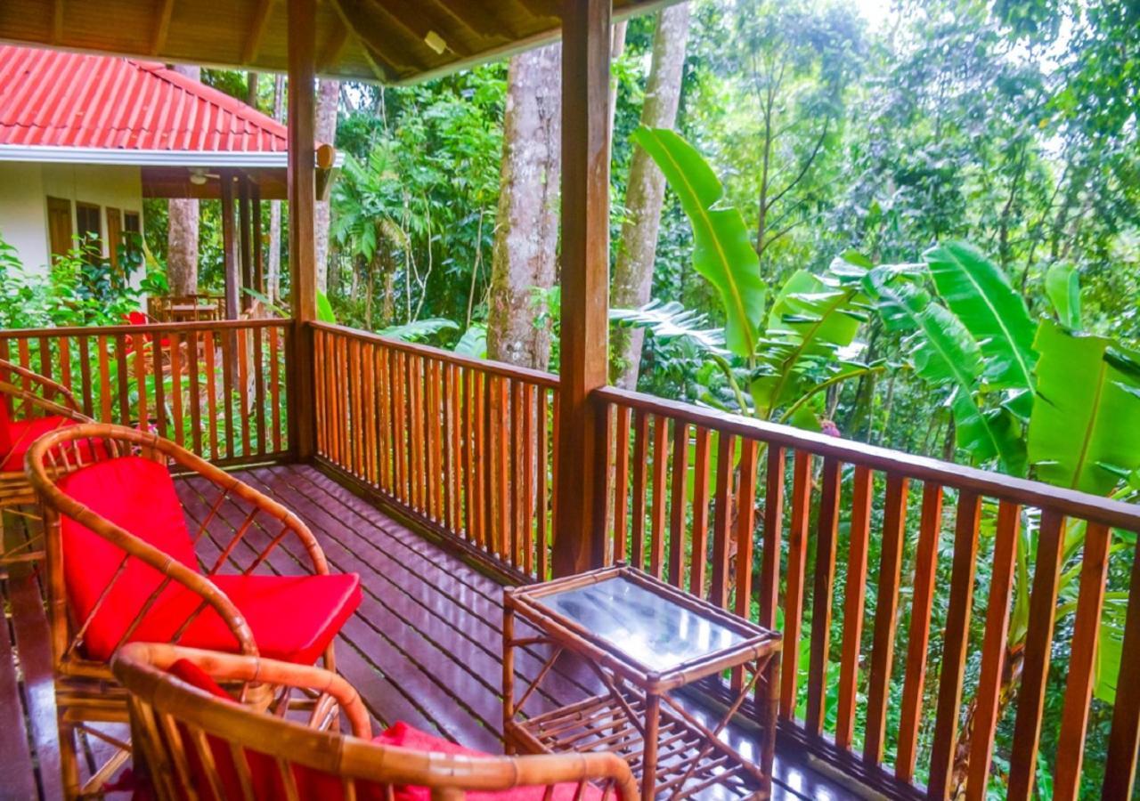 Villas En El Bosque Ojochal Ngoại thất bức ảnh