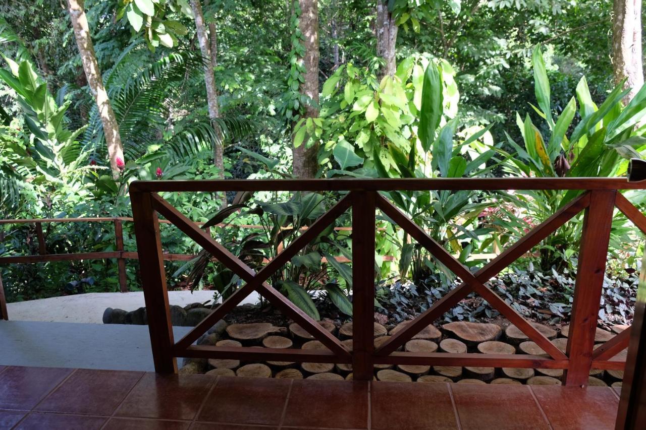 Villas En El Bosque Ojochal Ngoại thất bức ảnh